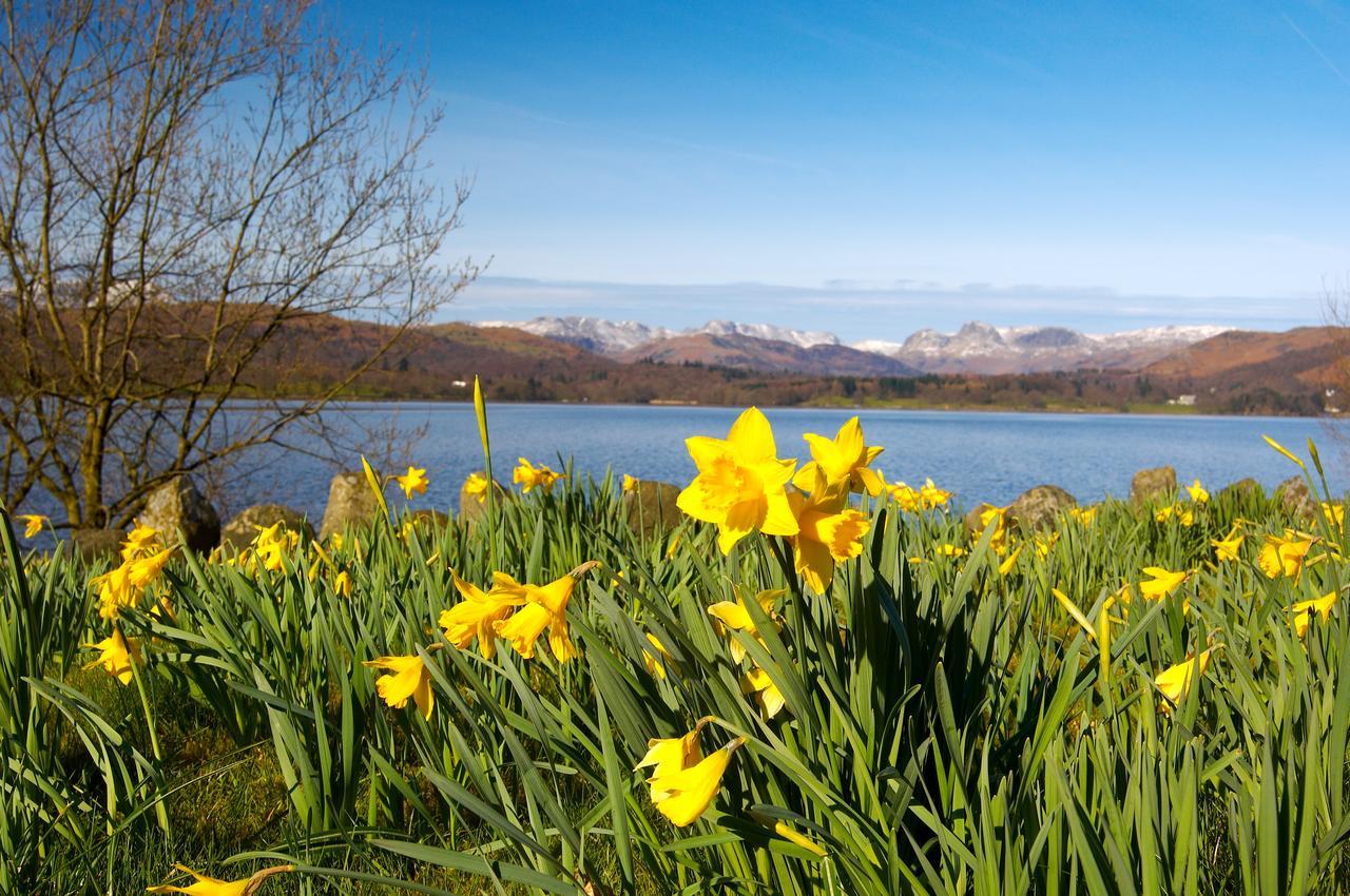 Ivythwaite Lodge Guest House Windermere Zewnętrze zdjęcie