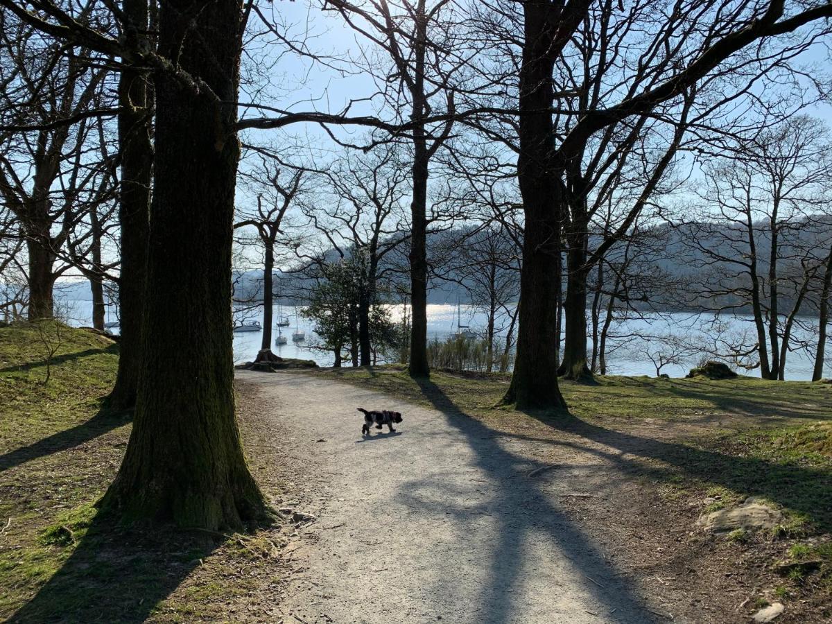 Ivythwaite Lodge Guest House Windermere Zewnętrze zdjęcie